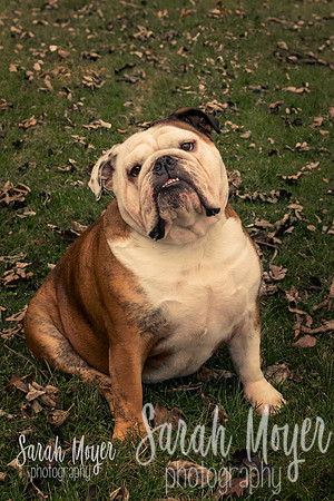 Rozelle Extended Family-1-Share